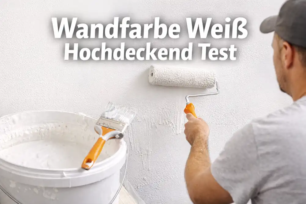 wandfarbe weiß hochdeckend test